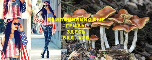 гидра Карталы