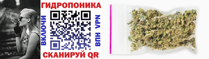 Купить закладки  Видное  Конопля индика 